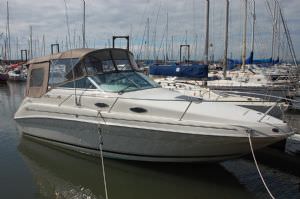 Sea Ray 240 Sundancer (click for enlarged image)